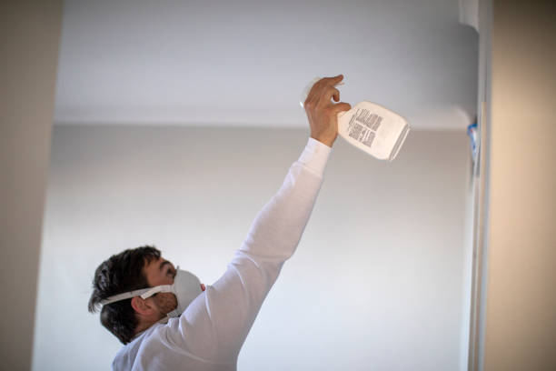 Best Commercial Mold Removal  in Tarpon Springs, FL