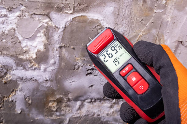 Best Attic Mold Removal  in Tarpon Springs, FL