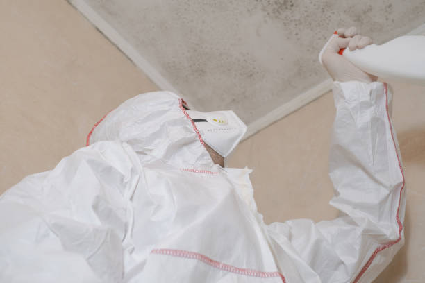 Best Mold Testing  in Tarpon Springs, FL