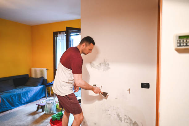 Best Same-Day Mold Removal  in Tarpon Springs, FL